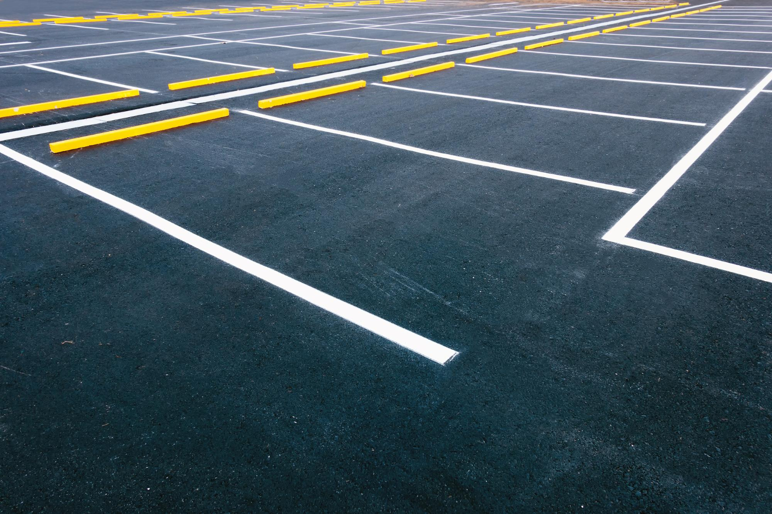 Empty parking lot with white lines and yellow parking bumpers on dark asphalt.
